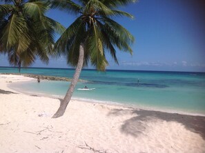 On the beach