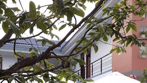 Property grounds - Phu Hung Thinh Villa (Da Nang)