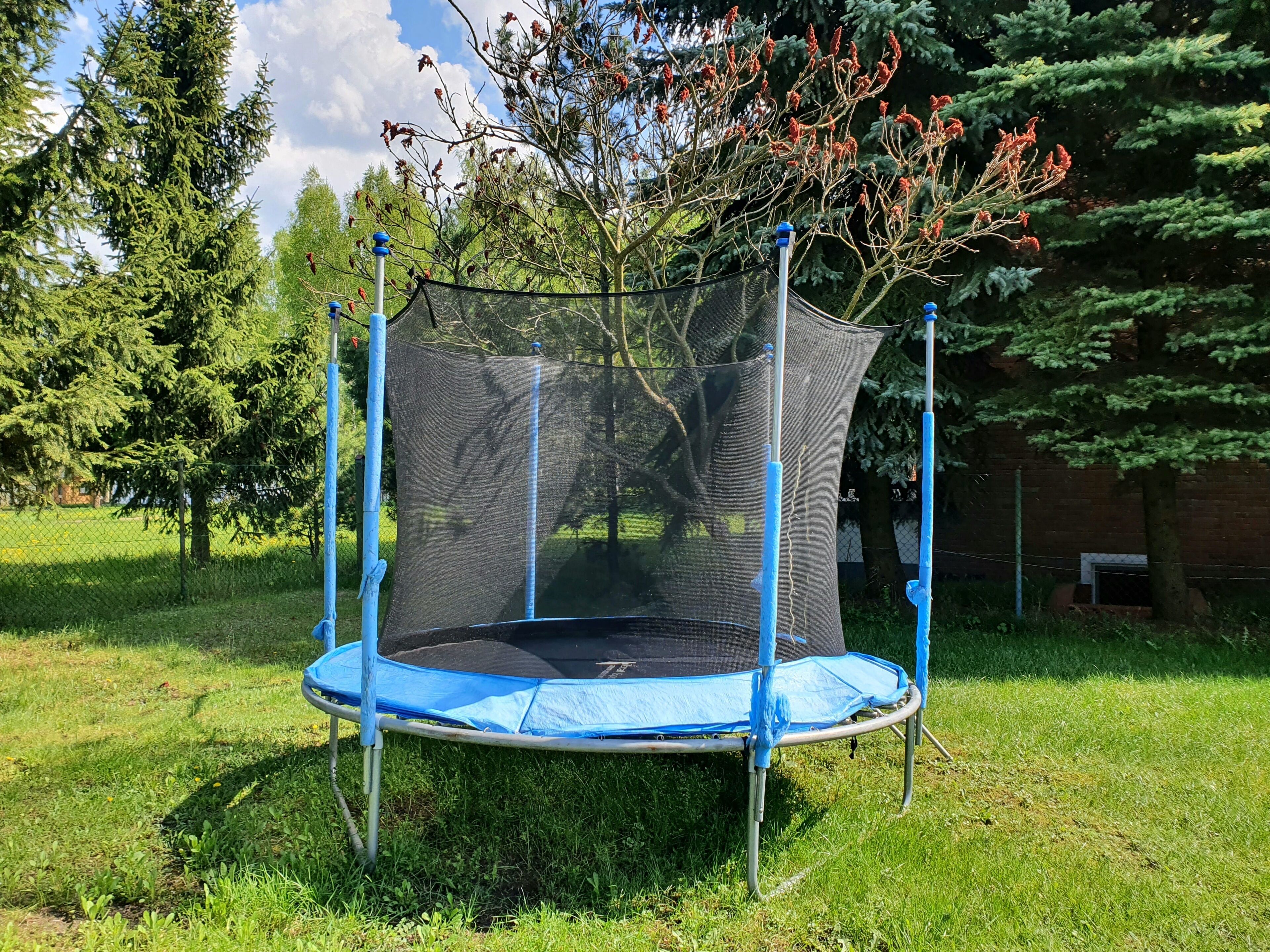 A trampoline with a safety net, surrounded by grass and trees.