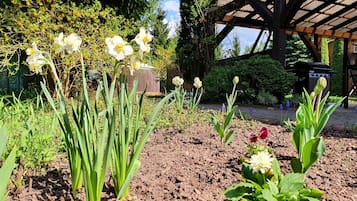 Jardin
