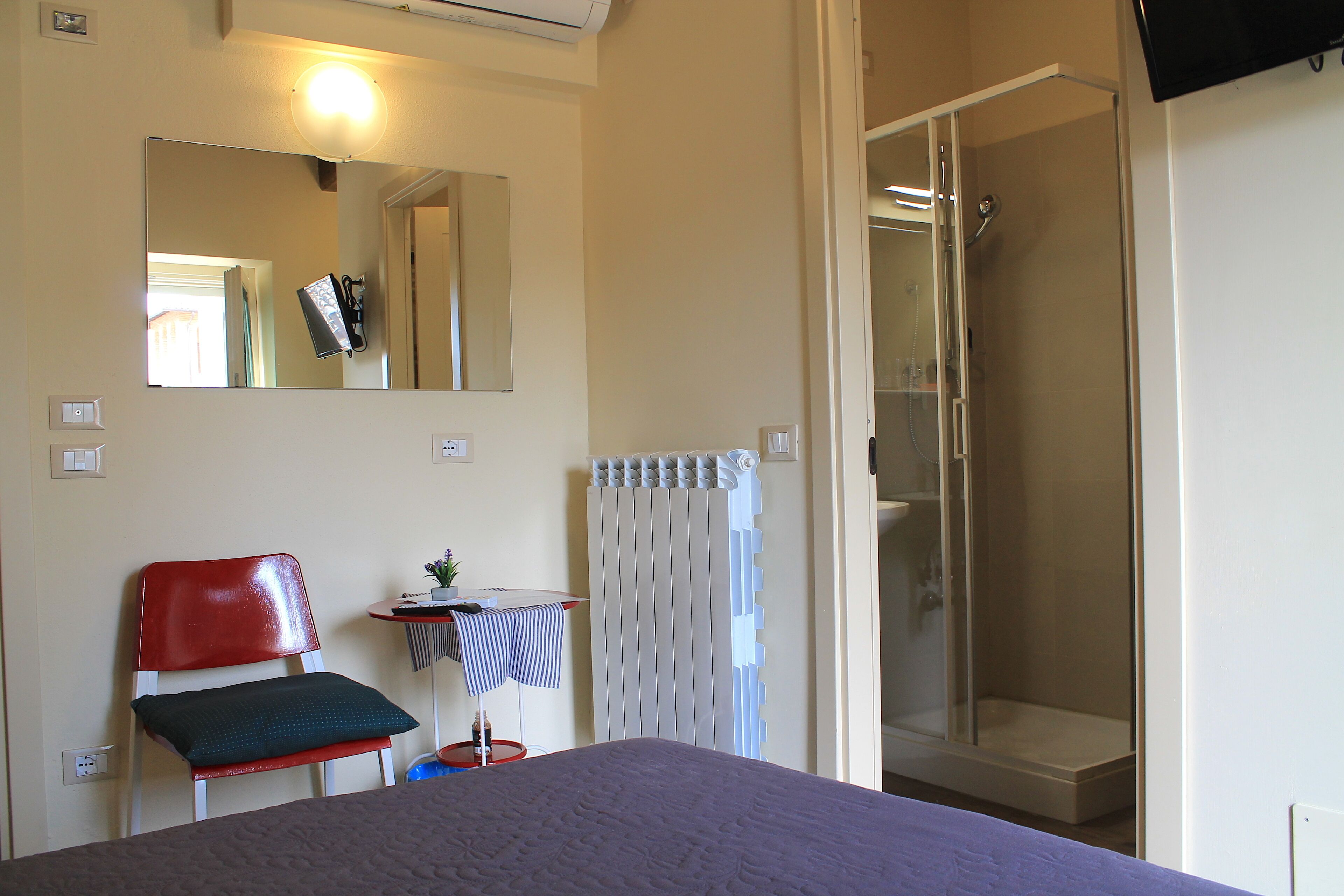A room with a bed, a chair, a small table with a plant, a mirror, a radiator, and a shower area.
