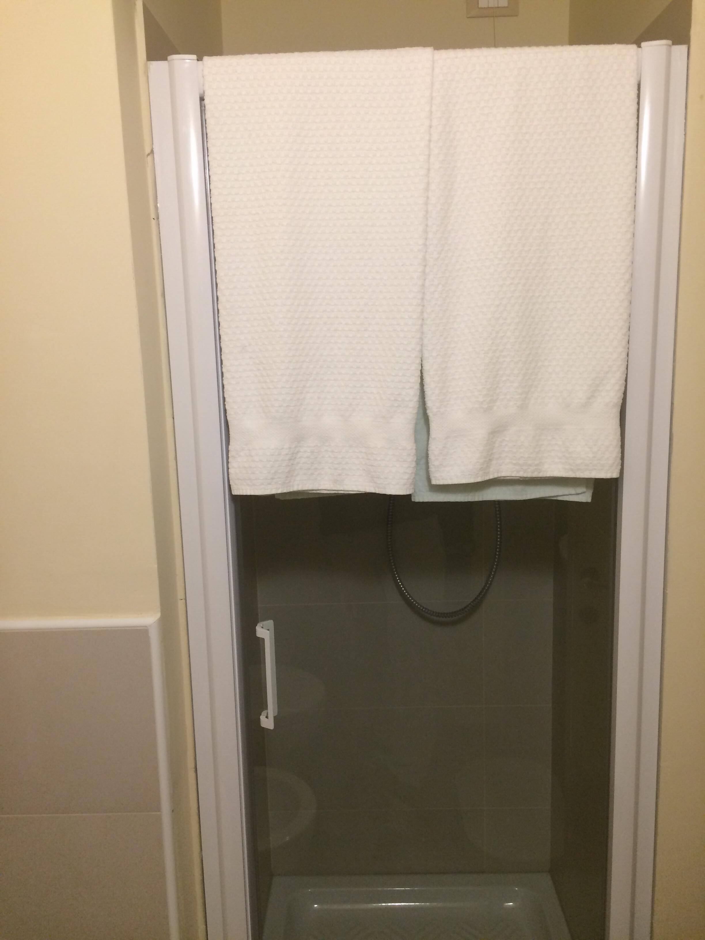 Un box de ducha con paredes de vidrio y una toalla blanca colgada en la puerta.