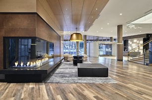 2 bares, bar junto a la piscina