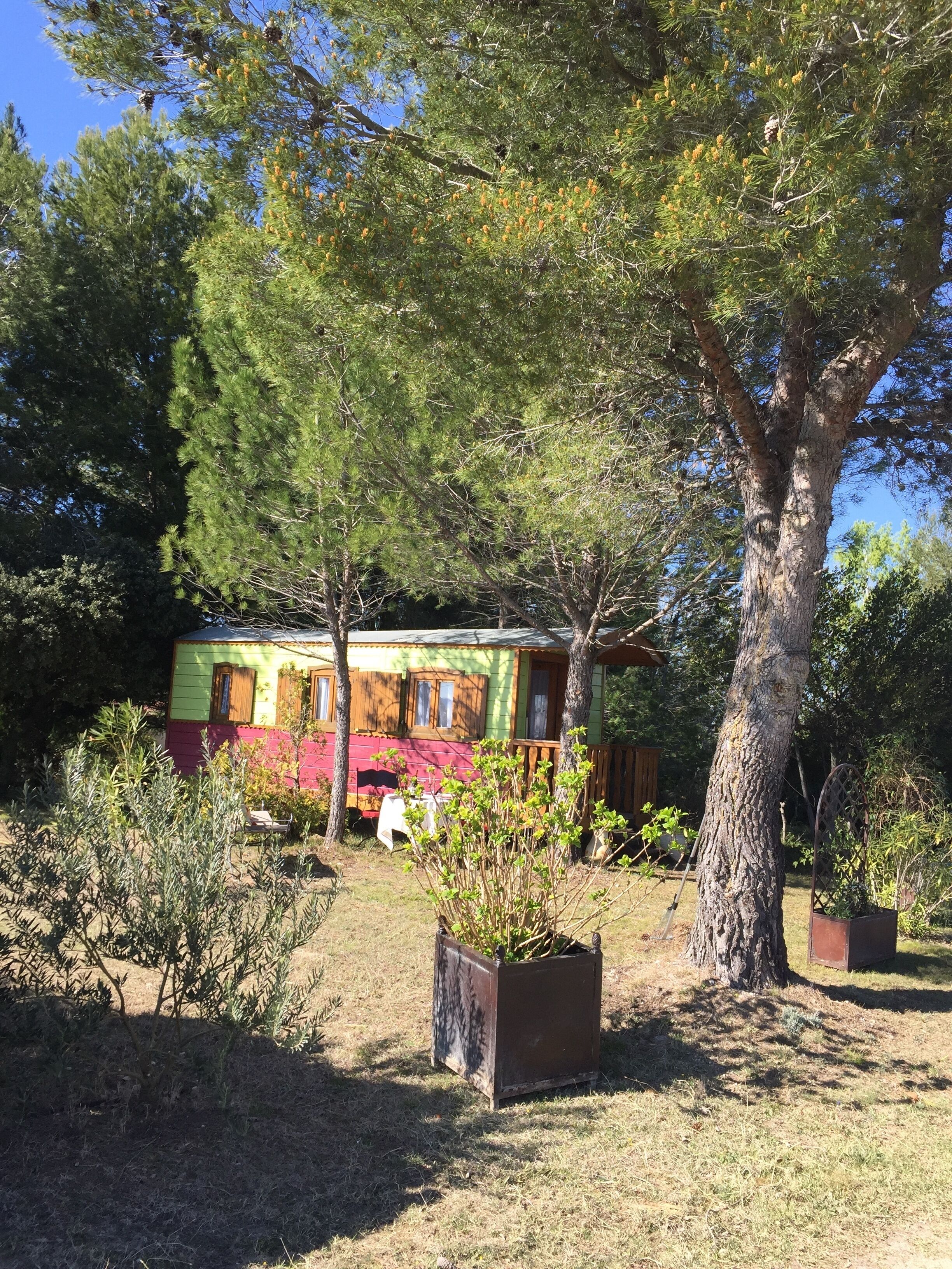 A rustic cabin with a green and red exterior, surrounded by trees and potted plants.