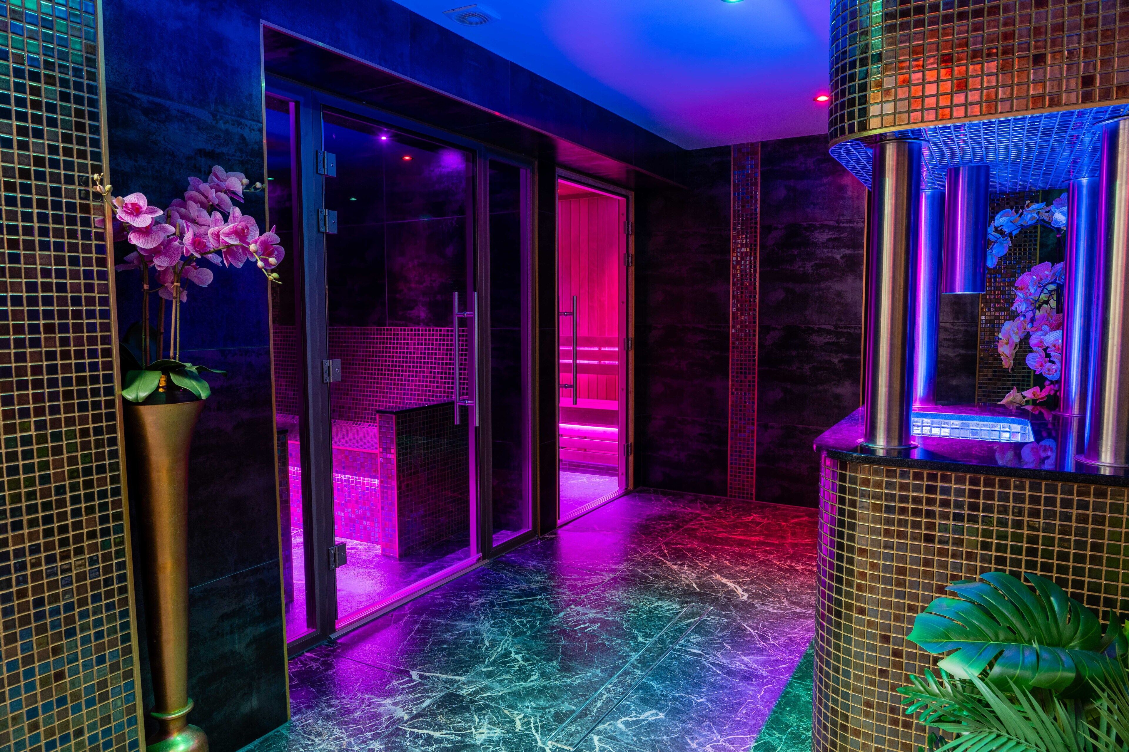 A hallway with a glass door leading to a room, tiled walls, and a plant on the right.