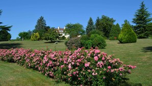 A well-maintained garden with a variety of flowering plants and neatly trimmed hedges.