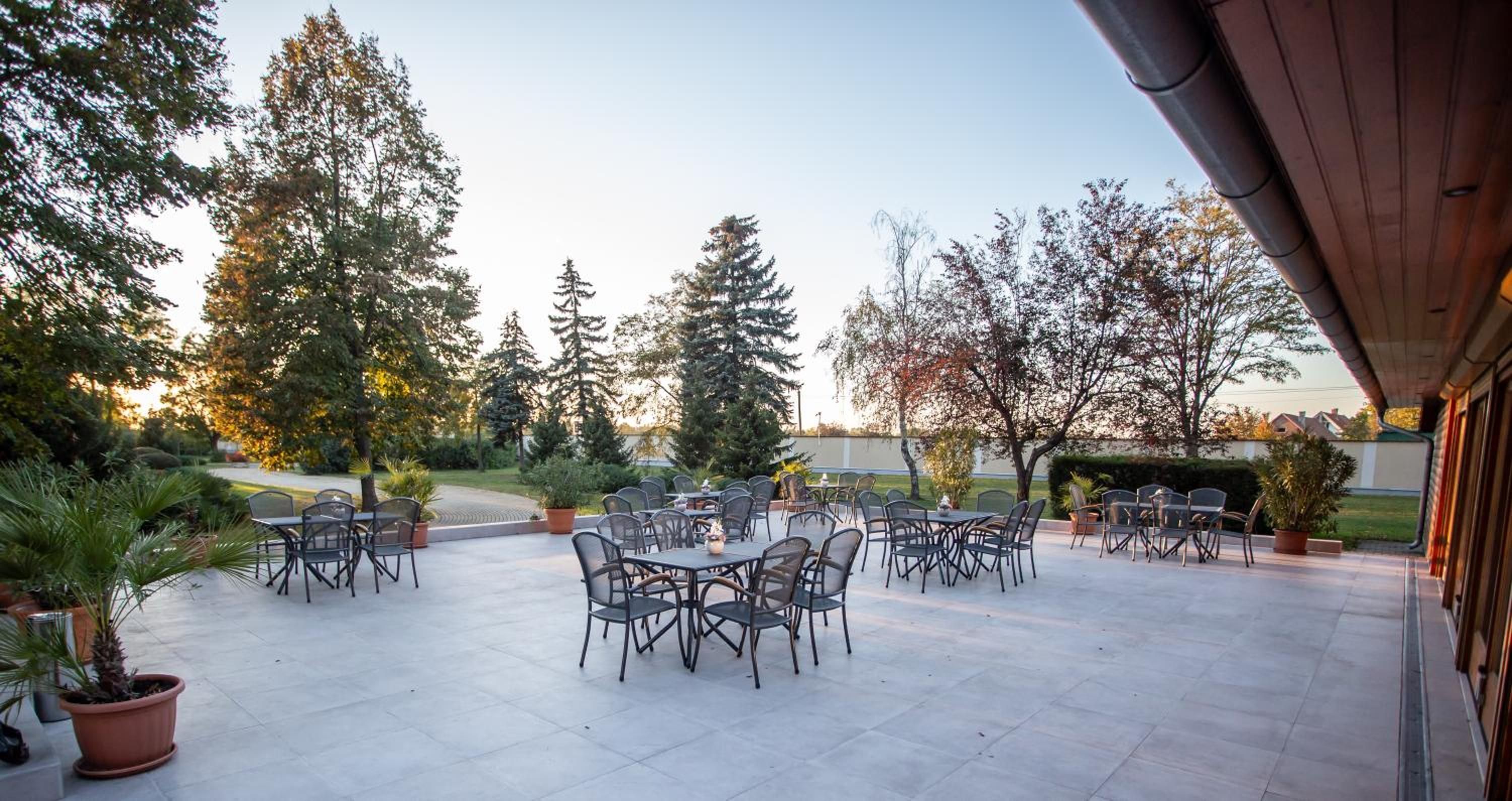 An outdoor patio with multiple tables and chairs, surrounded by trees and potted plants.