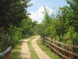 Property grounds - Pousada Recanto dos Bentos (Itapeva)