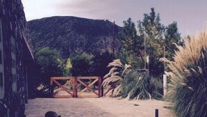 A stone-paved courtyard with a rustic gate, a dog, and a mountain in the background.