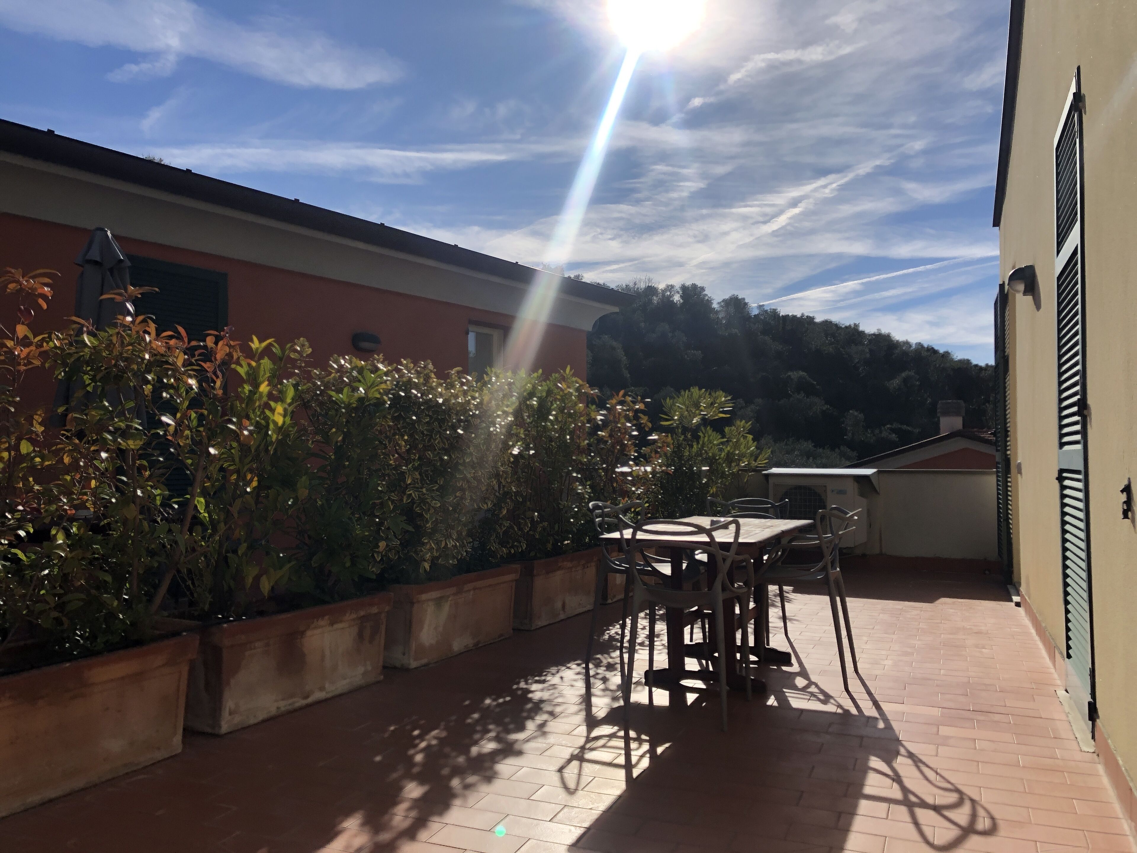 Un patio con una mesa y sillas, rodeado de macetas con plantas y vistas a una colina.