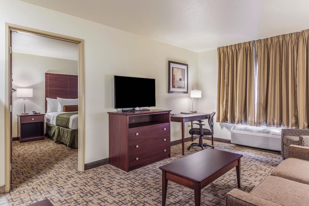 A hotel room with a bed, a desk, a television, a chair, a sofa, and a window with curtains.