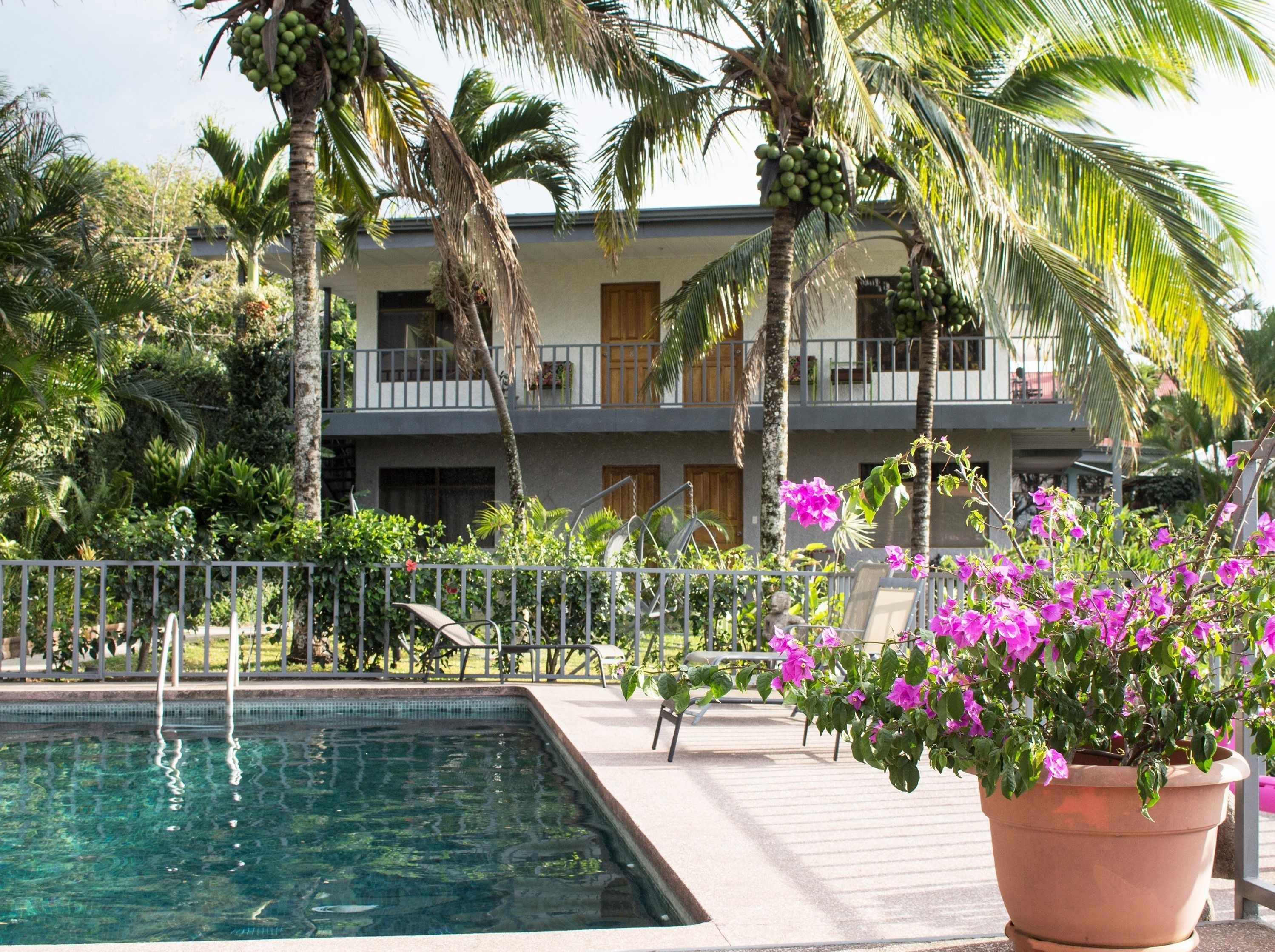 outdoor pool, pool loungers