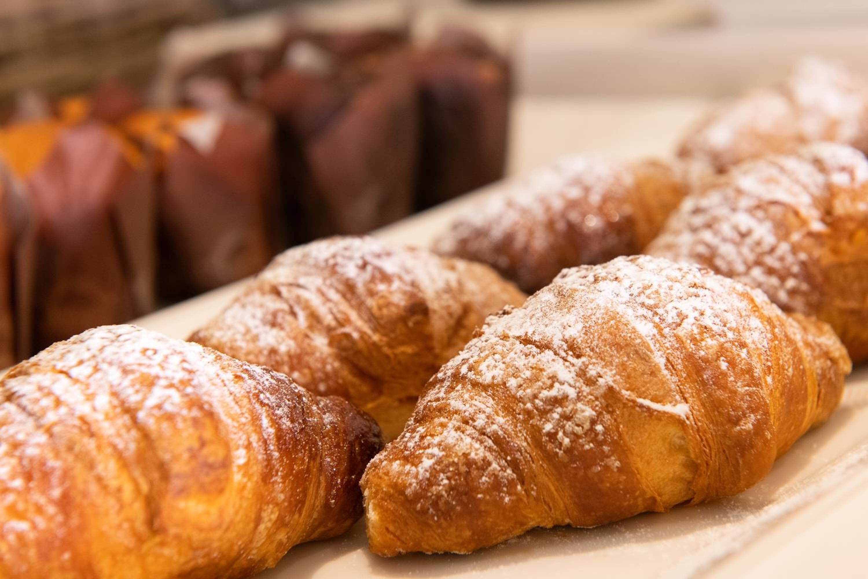 Foto - CDH Hotel Modena