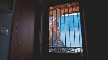 A door with a metal gate and a view of a rocky landscape through the window.