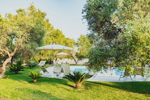 Seasonal outdoor pool, pool umbrellas, pool loungers