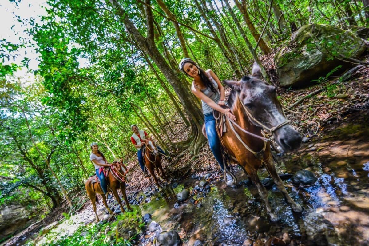 Une personne à cheval traverse une zone boisée, près d’un ruisseau.