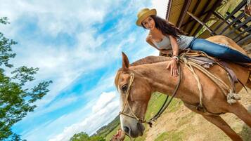 A person riding a horse in a stable with a clear sky and green trees in the background.