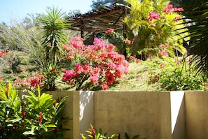 Exterior detail - Vida Aventura Ranch (Mogote de Bagaces)