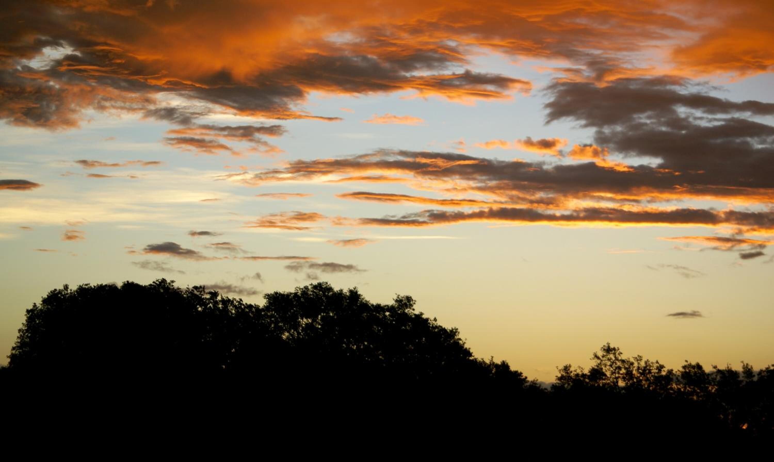 Un atardecer con nubes sobre el perfil oscuro de árboles.