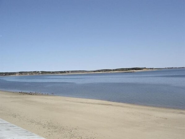 Beach towels - Quaint Wellfleeter Cottage on Mayo Beach with 400 feet of private beach (Wellfleet)