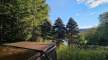 House, Multiple Beds, Mountain View (Silver Spring Chalet) | Property grounds