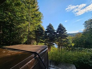House, Multiple Beds, Mountain View (Silver Spring Chalet) | Property grounds