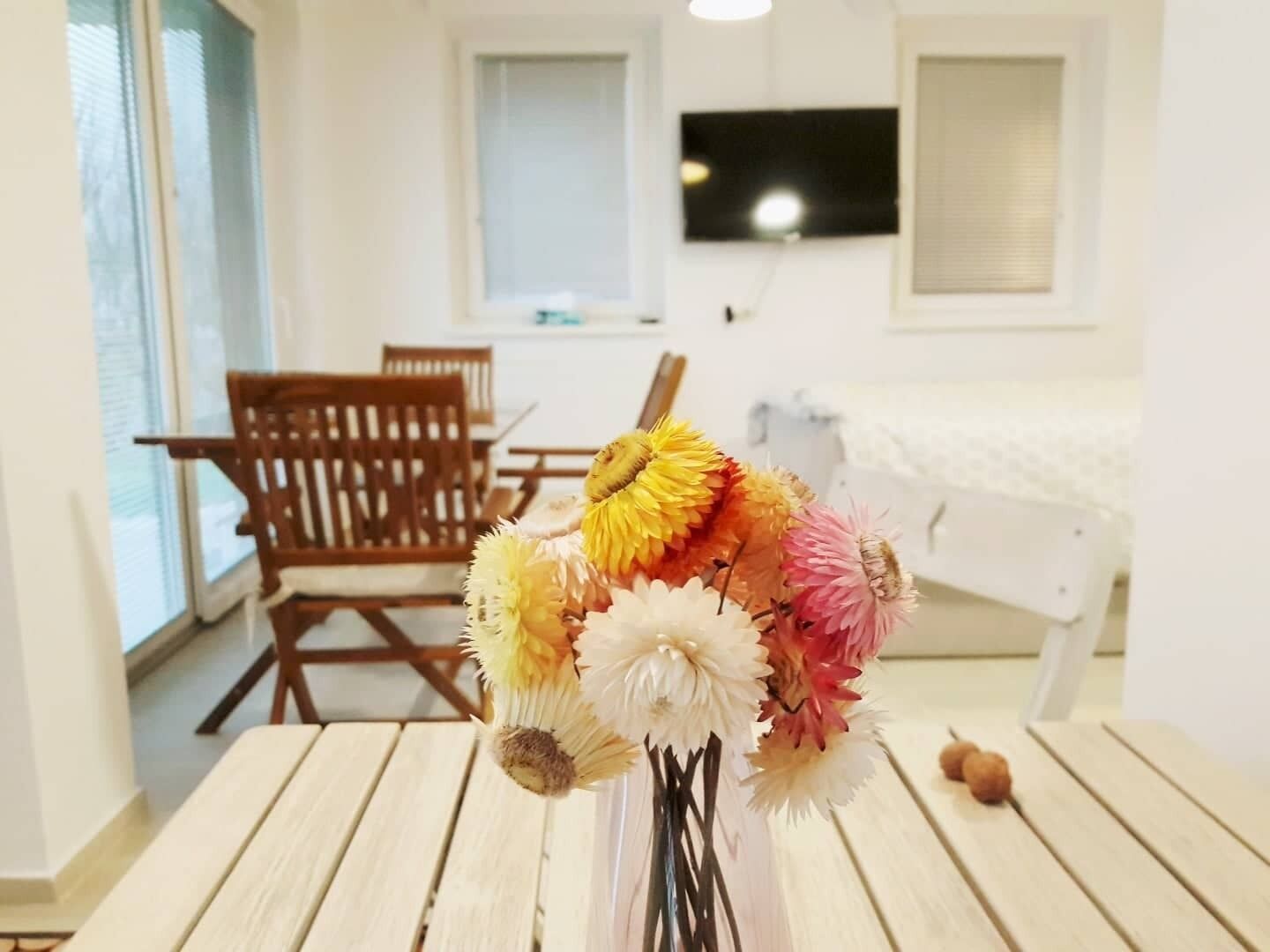 *LOVELY STUDIO FOR NATURE LOVERS PR' POTOKAR*