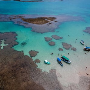 Una playa cerca