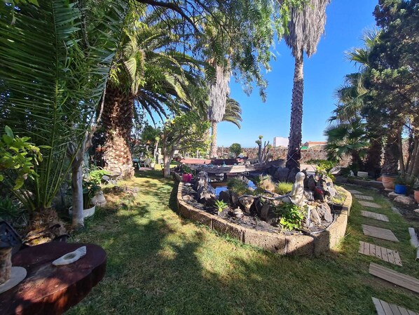 A garden with palm trees, a small pond, and a wooden deck.