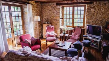 TV connectée, cheminée, lecteur de DVD, livres