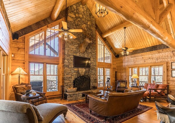 TV, fireplace, video games, ping pong