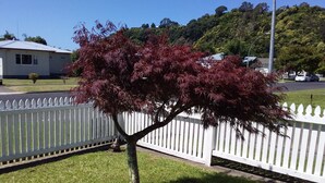 Property grounds - Two Bedroom Unit (Whakatane)