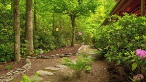 Un sentier bordé d’arbres, avec des marches en pierre menant à une structure en bois.