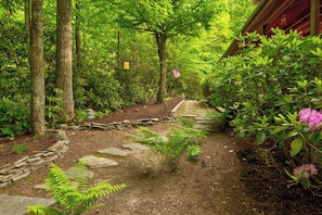 Property grounds - Hebron Falls Cabin: Wraparound Porch | Hot Tub | Pool Table | Dog Friendly | Firepit (Boone)
