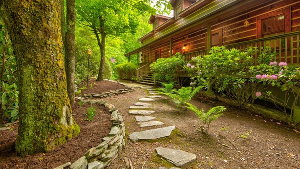 Une cabane en bois avec un chemin de pierre menant à un porche, entourée d’une végétation luxuriante et de plantes en fleurs.