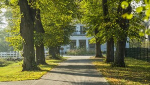 Un sendero pavimentado bordeado de árboles que conduce a un edificio blanco con pórtico.