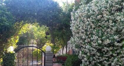 Schönes Familienferienhaus direkt am Meer mit wunderschönen Sonnenuntergängen