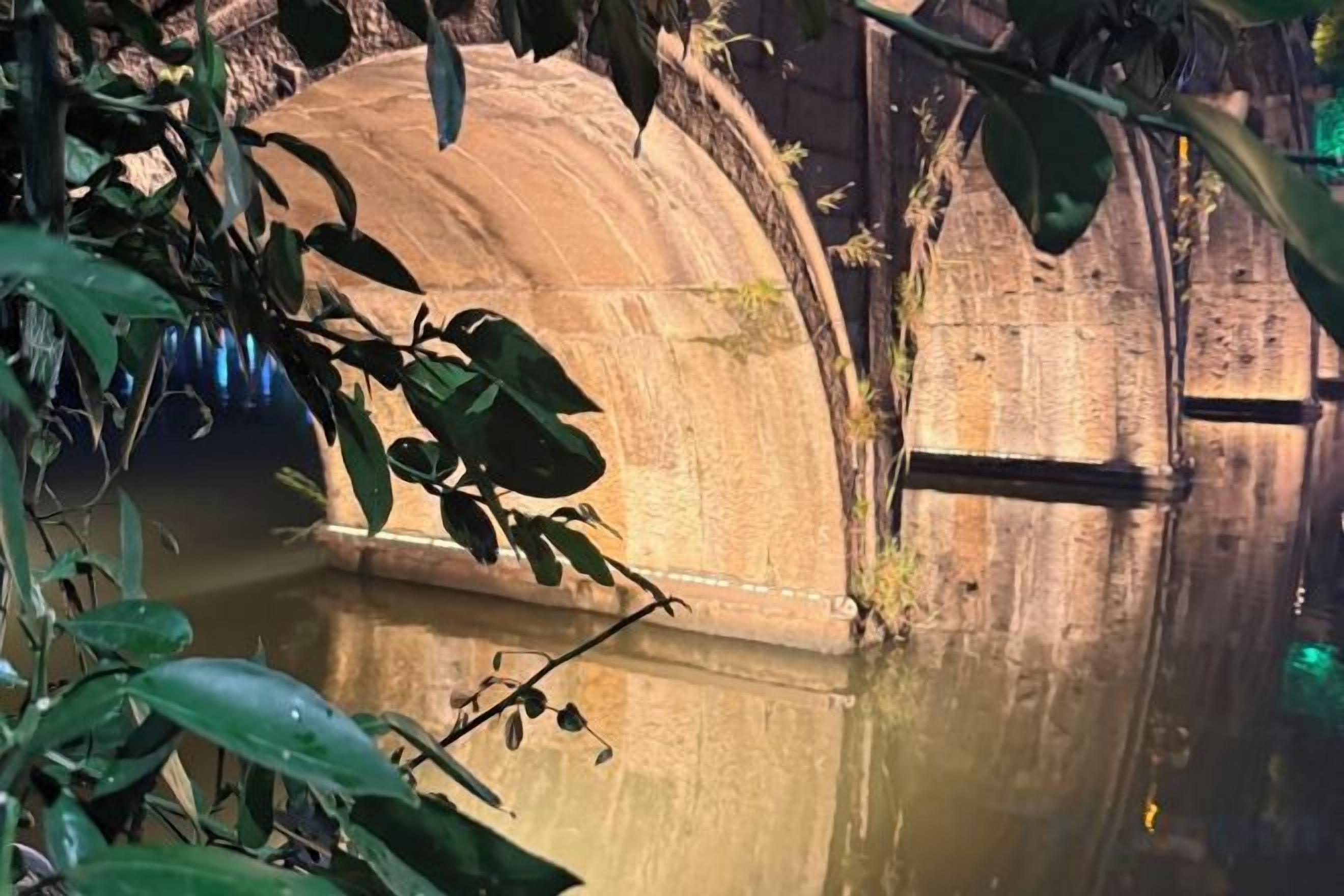 A concrete structure with a curved roof, surrounded by water and vegetation.