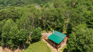 A cabin with a green roof surrounded by dense forest and mountains. - Silverleaf - 30 Mile View, Hot Tub, Close to ASU (Zionville)