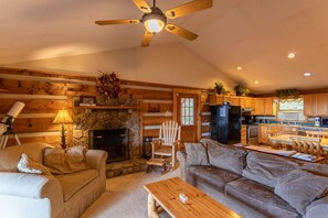 电视、壁炉、DVD 播放器、立体声音响