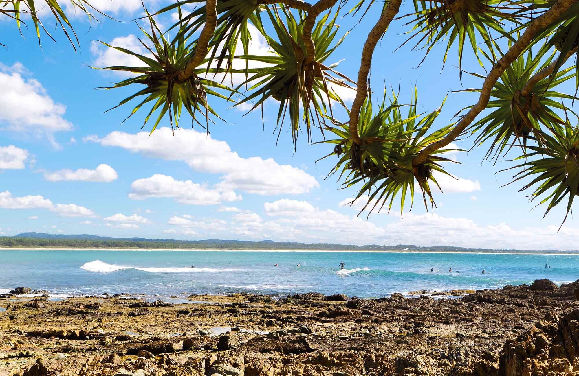 A rocky beach with palm trees and a clear sky.