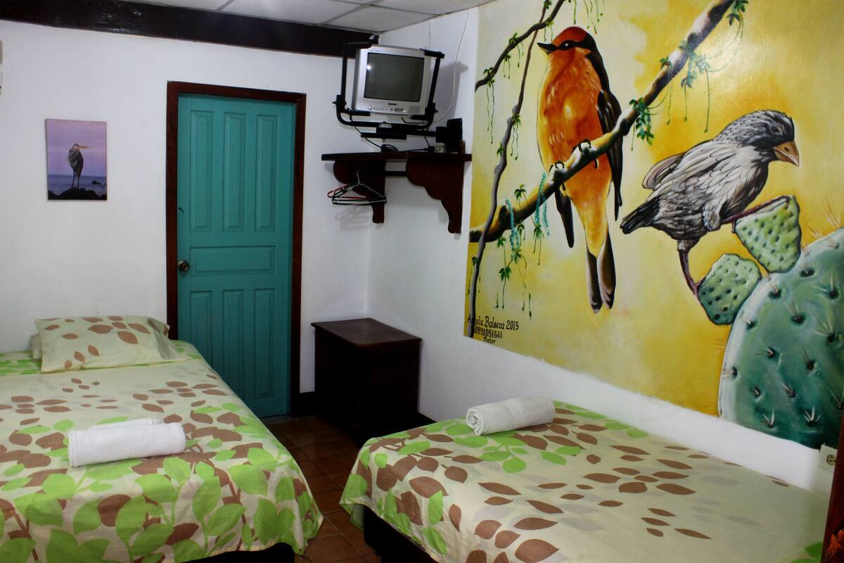 Iron/ironing board, free WiFi