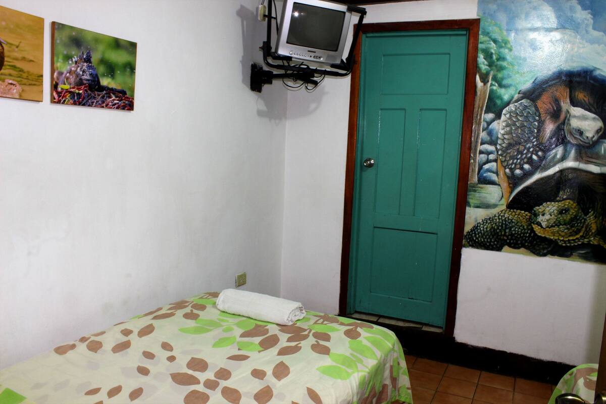 Iron/ironing board, free WiFi
