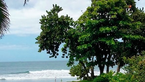 A swimming pool with a view of the ocean and a large tree in the background.