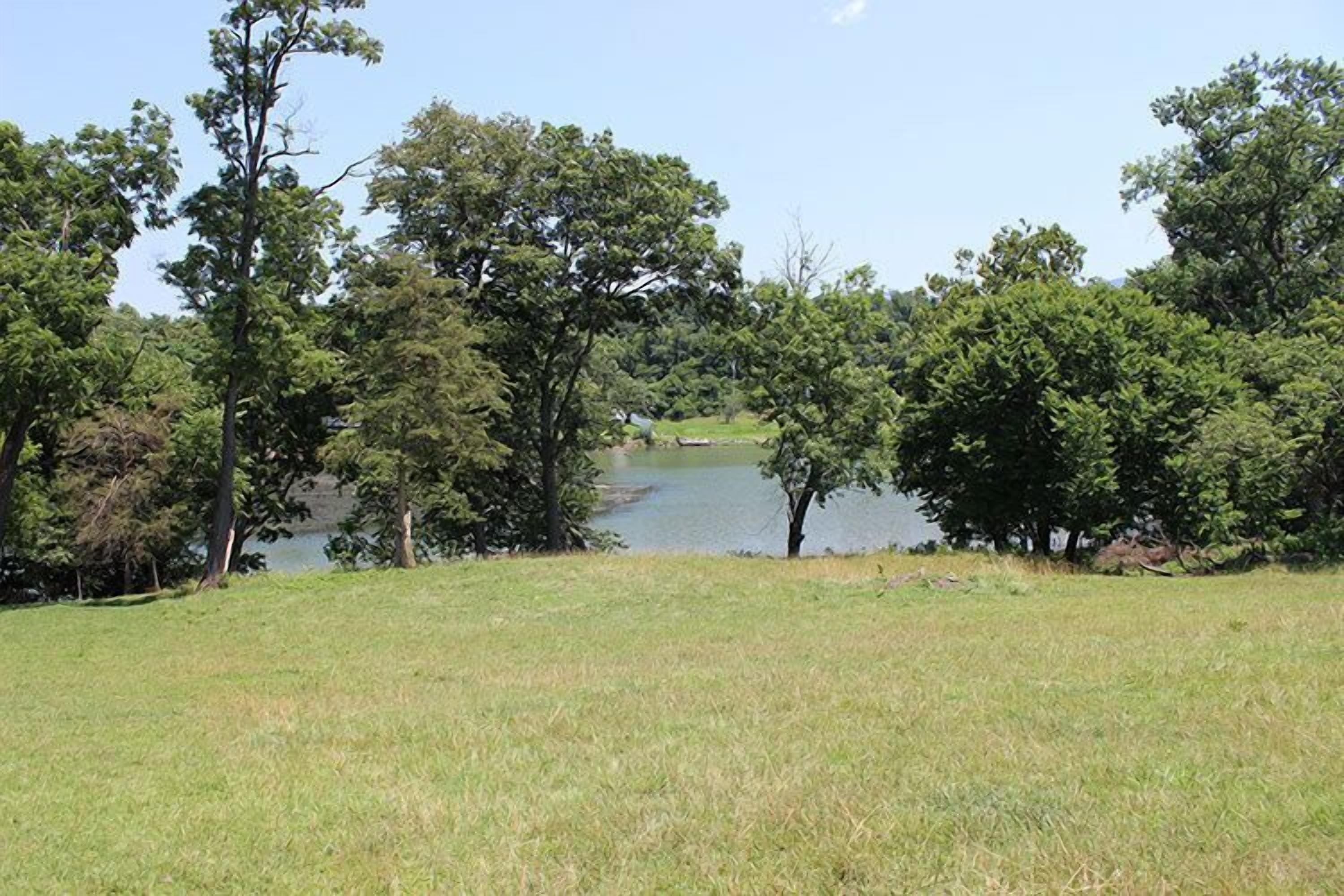 A grassy field with trees and a body of water.