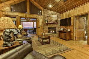 TV, fireplace, DVD player, books