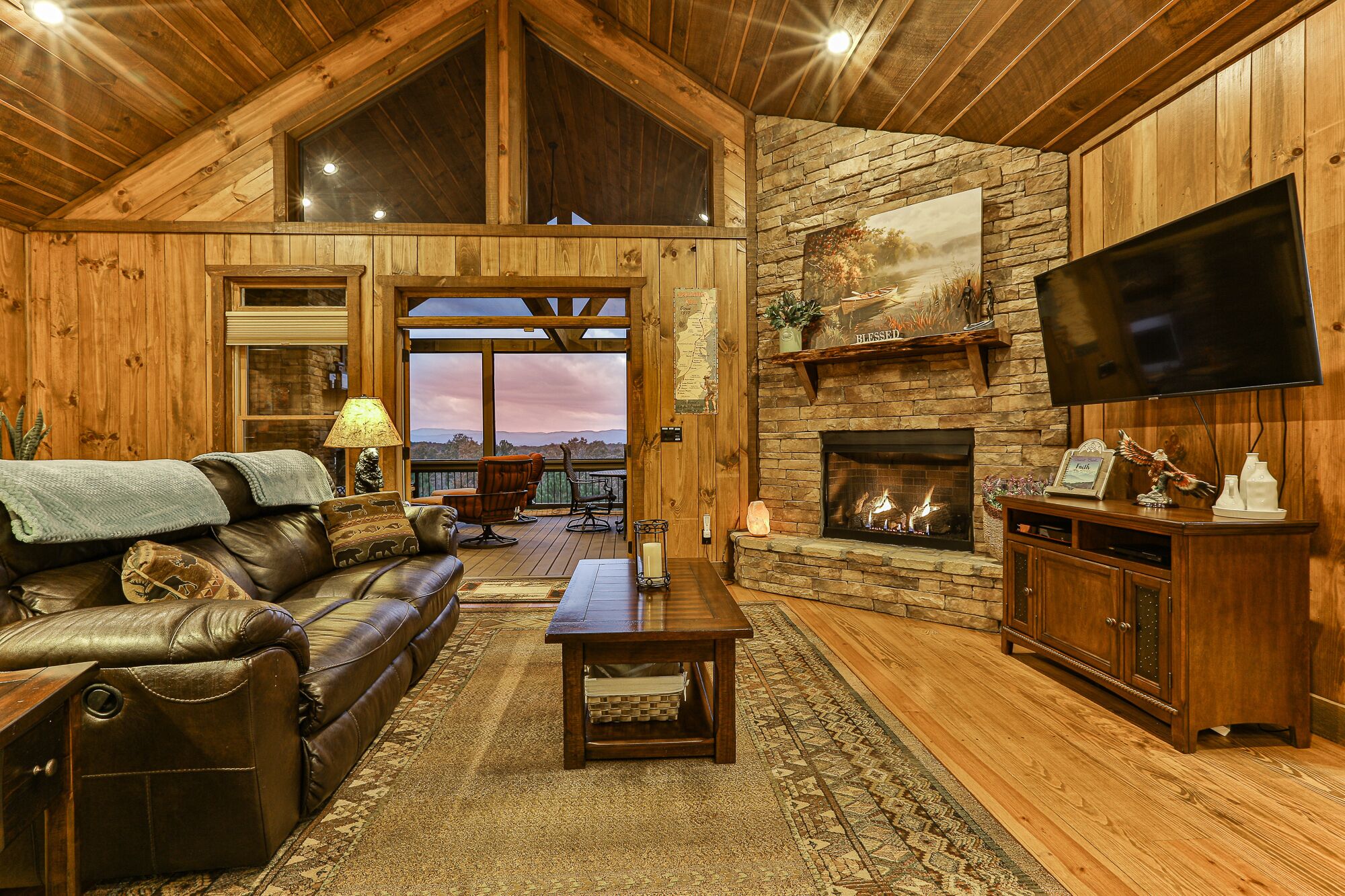 Televisión, chimenea, reproductor de DVD y libros 