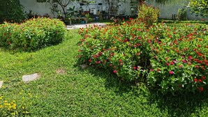 Een tuin met diverse planten en bloemen, een wit gebouw met ramen en airconditioners, en een palmbom.