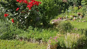 Un jardin agrémenté de diverses plantes et fleurs, un sentier et du mobilier d’extérieur.