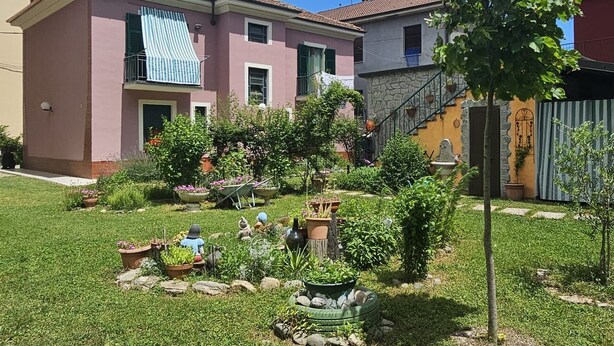 Un quartier résidentiel agrémenté d’un jardin bien entretenu, de plantes en pot et d’un petit arbre.